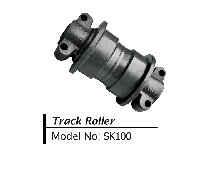 SK100