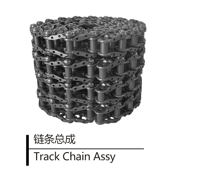 Track Chain Assy